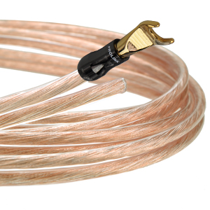 prolink-tsp-081-cecha3