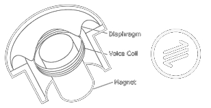 Źródło: www.shure.pl